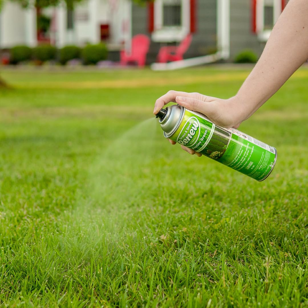 Amazon.com: Seymour RENEW Grass and Shrub Spray Paint, Pristine