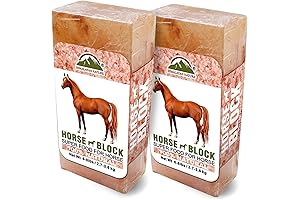 Licking Salt for Horse: Enhance Your Horse's Health and Well-being