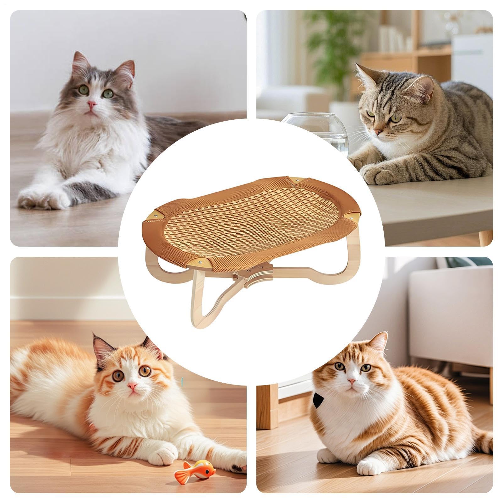 Breezy - Asiento de Gato Elevado, 59 x 38 x 20,5 cm, Comodidad para Mascotas, Detalle de construcción de ratán Tejido, Cama de Animales con ventilación, del Clima cálido para Sala de Estar