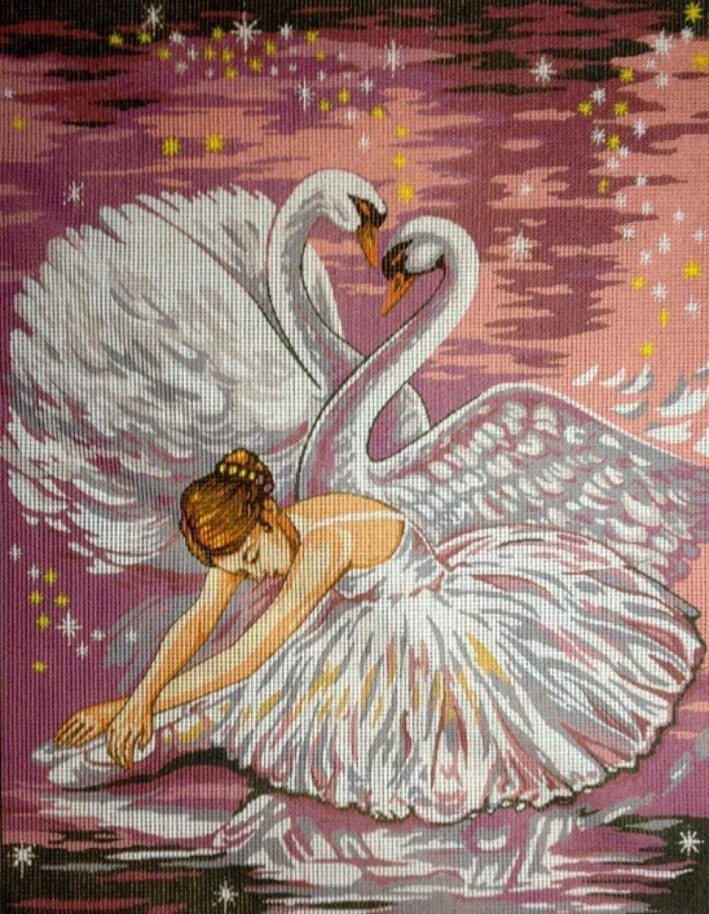 Kit de broderie de point de croix Ballerina 30x40cm : des symboles lisibles en HD 5D