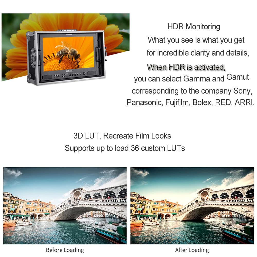 Amazon | SEETEC ATEM173S-CO 17.3インチ 3D LUT 監視モニター 監督用