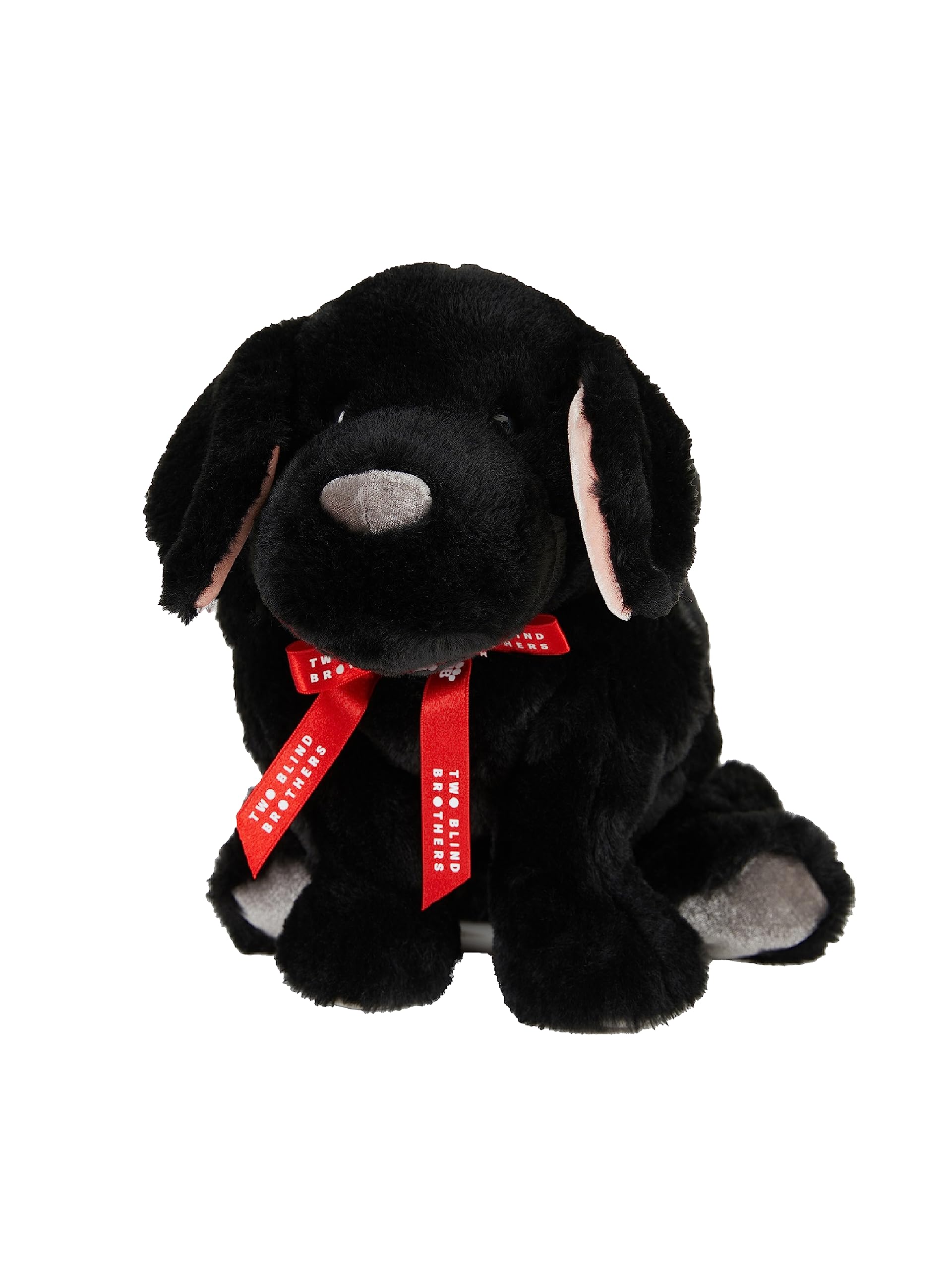 Amazon.com: Two Blind Brothers Beacon Black Lab - Beacon : Toys