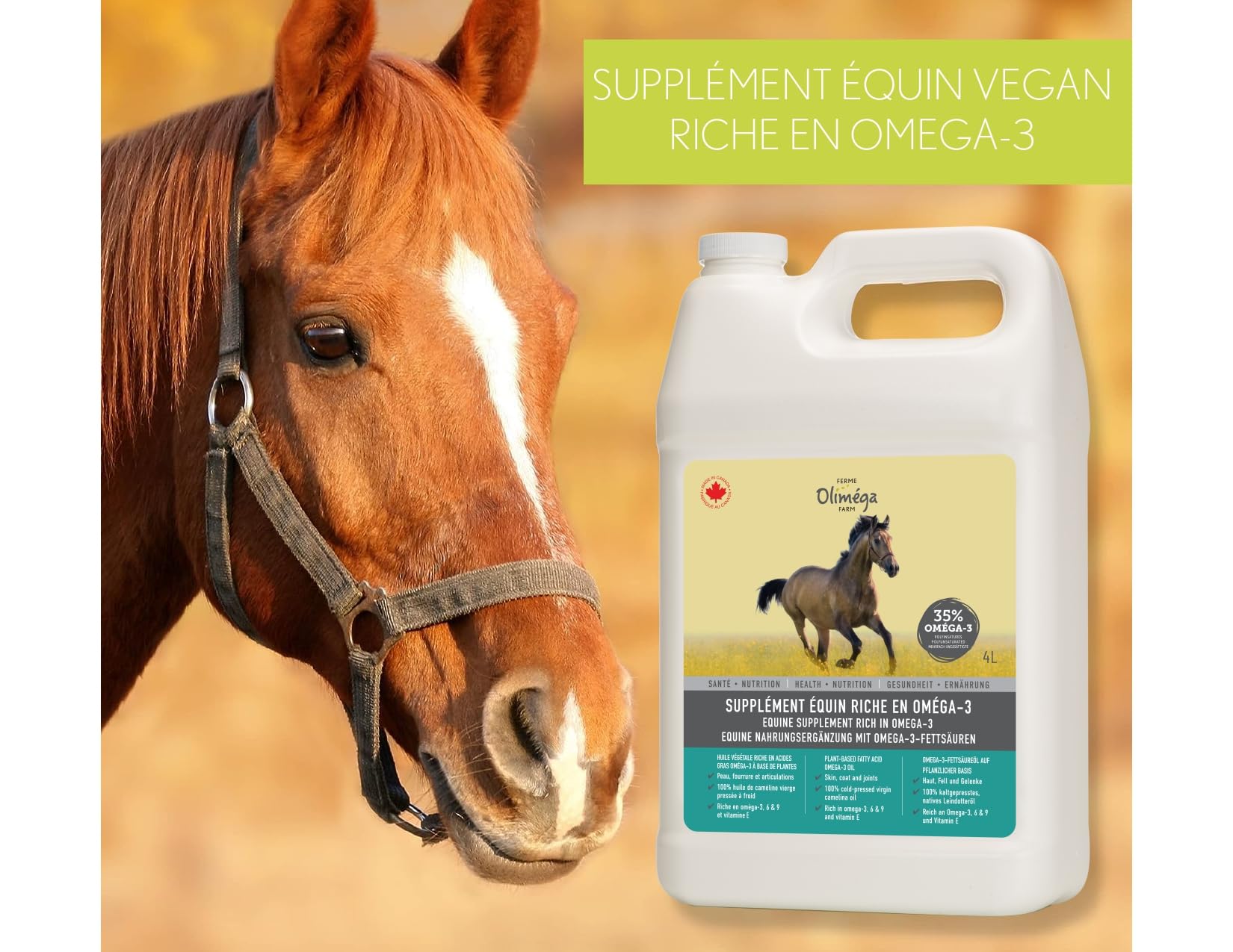 Ferme Oliméga, Huile de Caméline pour Chevaux 4L, Riche en oméga-3 polyinsaturés, Vitamine E, Pure et Pressée à Froid. Articulation Produit du Canada.