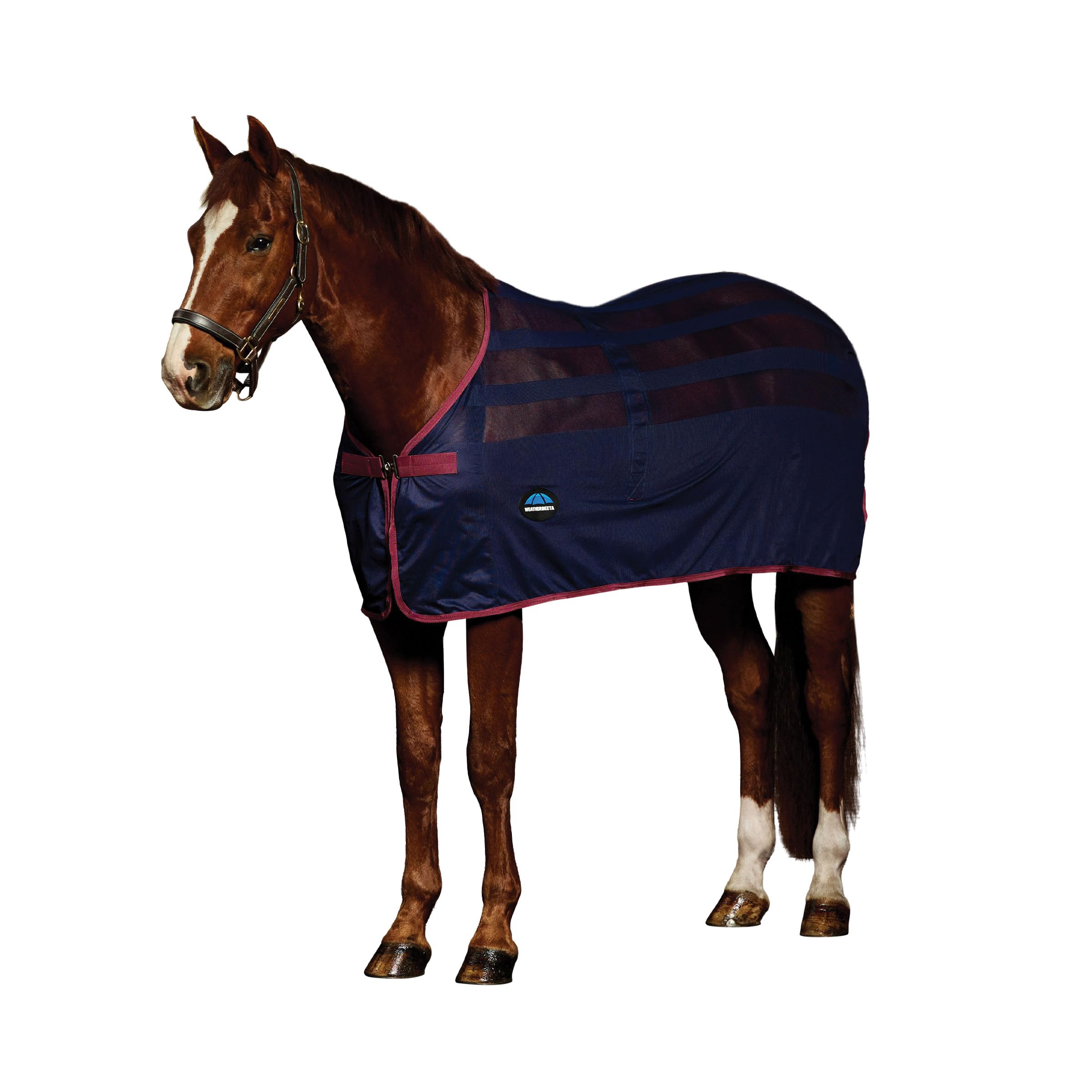 WeatherBeeta Scrim Cooler Standard Neck, Navy/Burgundy, 5'3