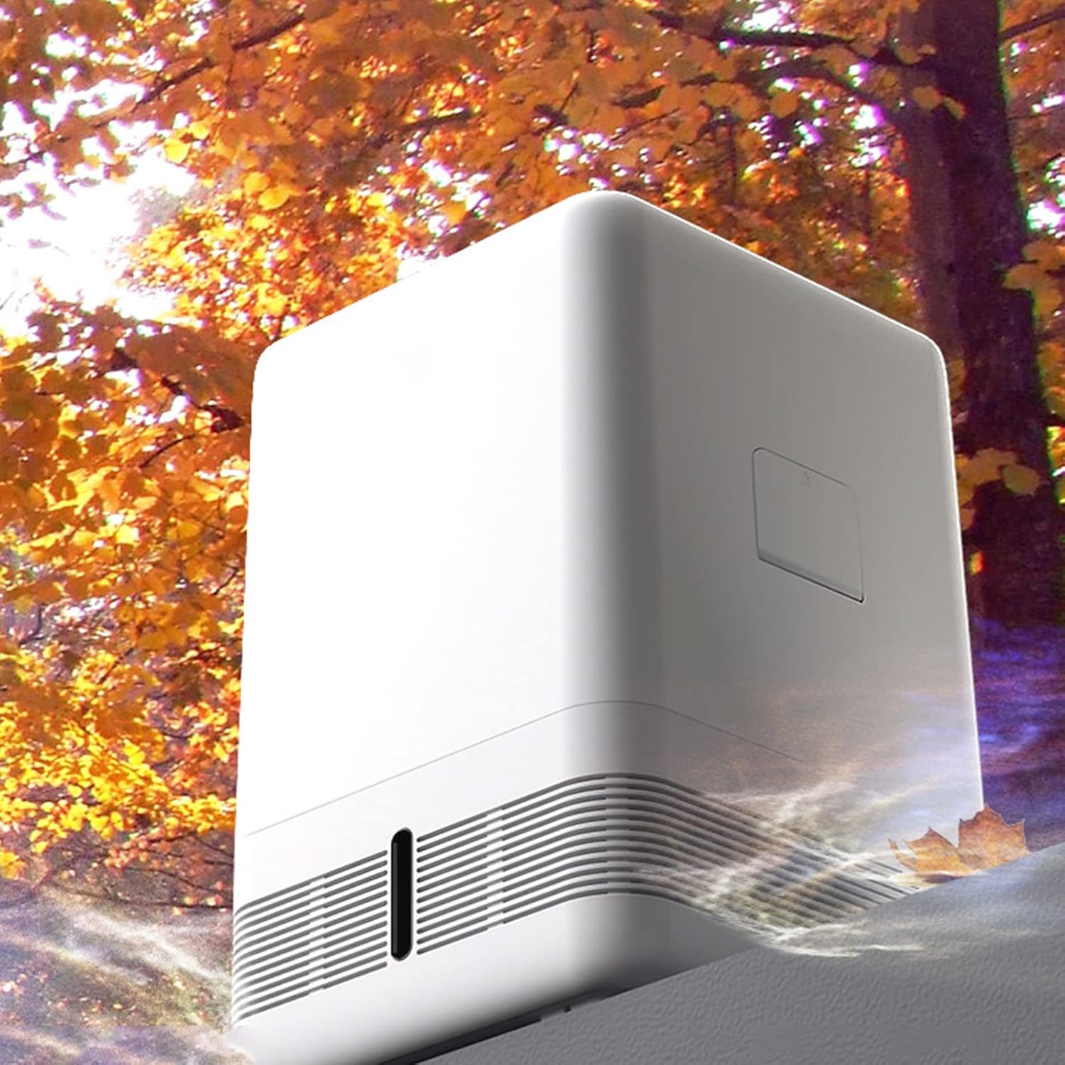 Humidifier for Home Bedroom 6L Air Purification Without Fog Timer Auto Mode Customized Humidity for Baby Room Plants Office