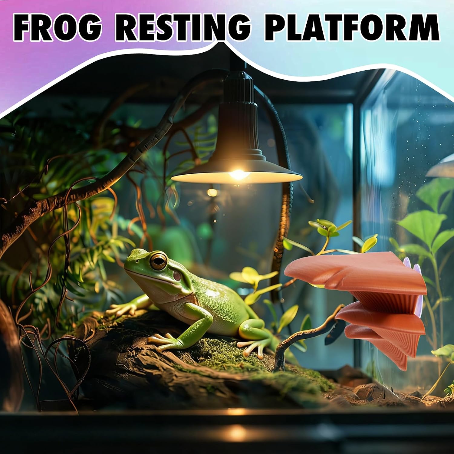 Mushroom Reptile Tank Decor, Tree Frog Climbing Ledge for Terrarium image 4