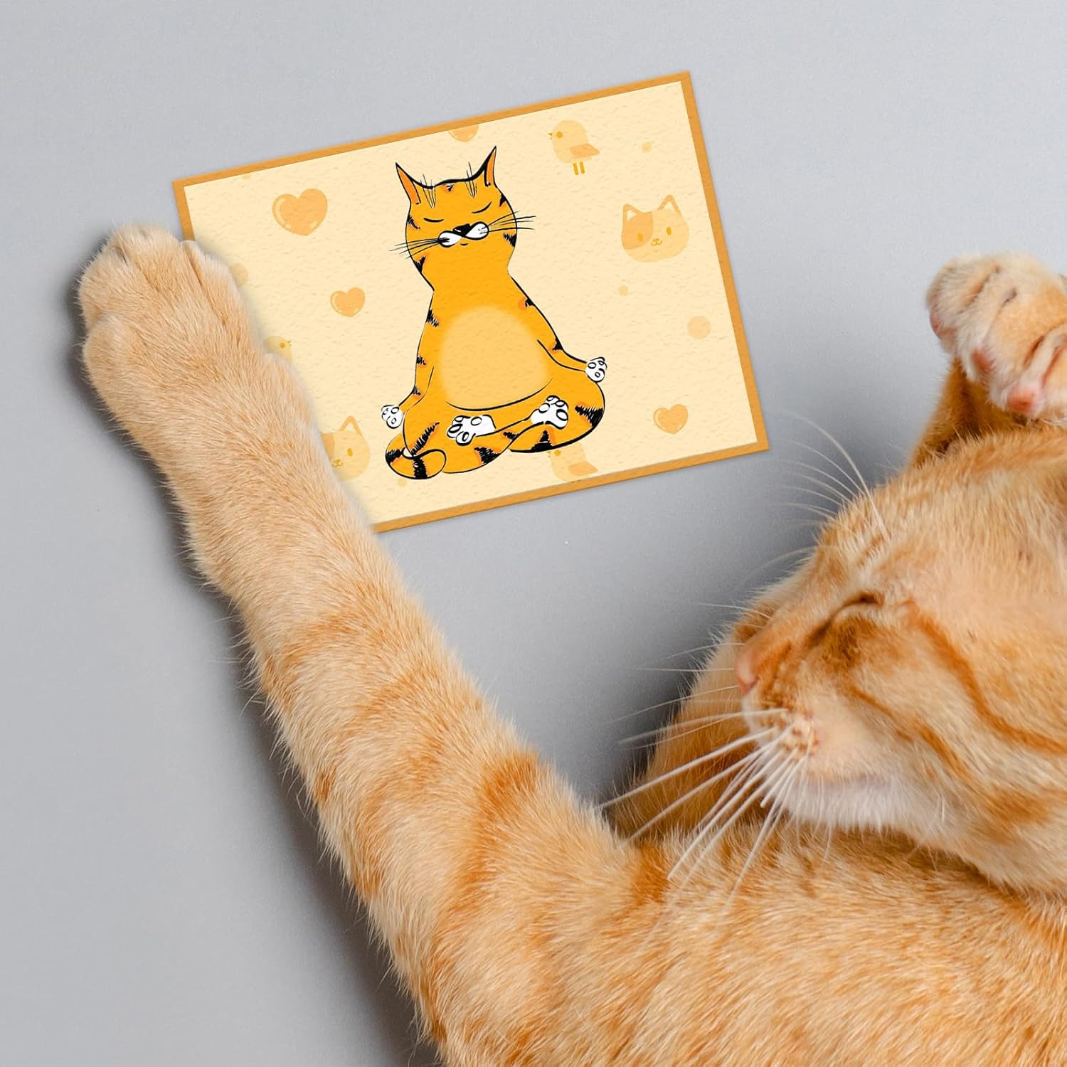 Cat Clear Stamps for Card Making Orange Cats Doing Yoga Rubber Stamps Cute Animal Kitten Cats Transparent Silicone Seals for Gift Card DIY Scrapbooking Embossing Album Craft Supplies