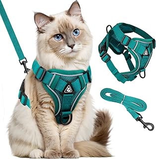 GlasFlength Katzengeschirr mit Leine Ausbruchsicher, Katzenleine mit Geschirr für Katzen Verstellbar Katzen Geschirr Set Cat Harness Softgeschirr für Katze mit Reflektierenden Streifen (Seeblau-M) product image