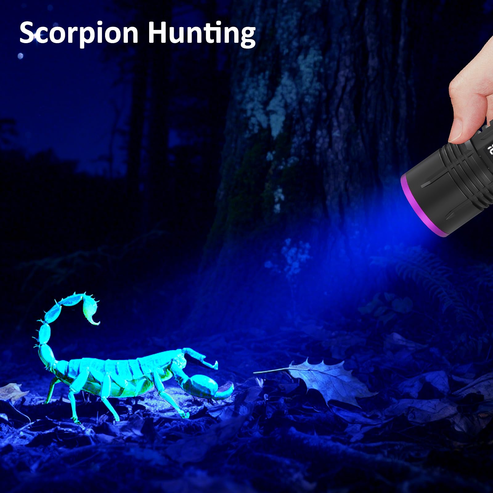 Torcia UV ricaricabile da 365 nm con display LCD, lampada UV portatile per rilevare urina di animali domestici, rete di resina, viaggio, scorpioni, monitoraggio del sangue, rocce, minerali