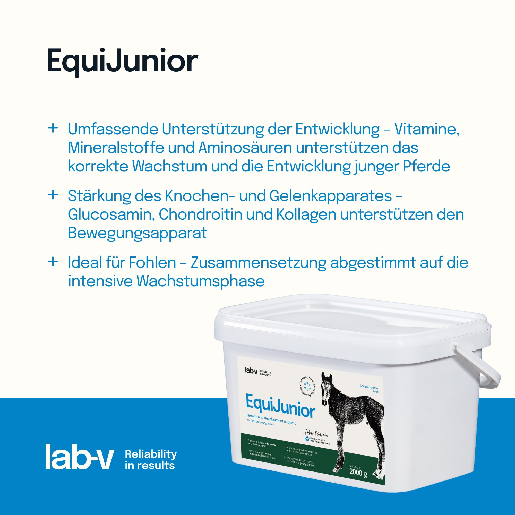 Lab-v EquiJunior 2 kg – Complemento alimenticio para potros y caballos jóvenes – Mezcla de vitaminas y minerales para la alimentación diaria