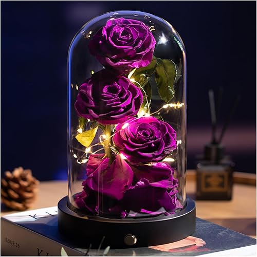 Agrul Gifts for Her Purple Preserved Rose with LED Lights Mothers Day Wedding Anniversary Birthday Valentines Day Gifts for Women MomPurple Rose