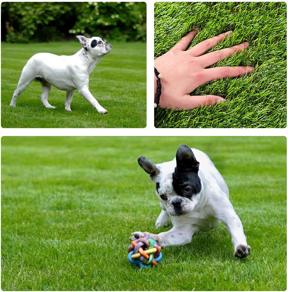 Household Decor Realistic Deluxe Artificial Grass Synthetic Thick Lawn Turf Carpet -Perfect for Indoor/Outdoor Landscape -28 in x 40 in (7.7 Square FT)