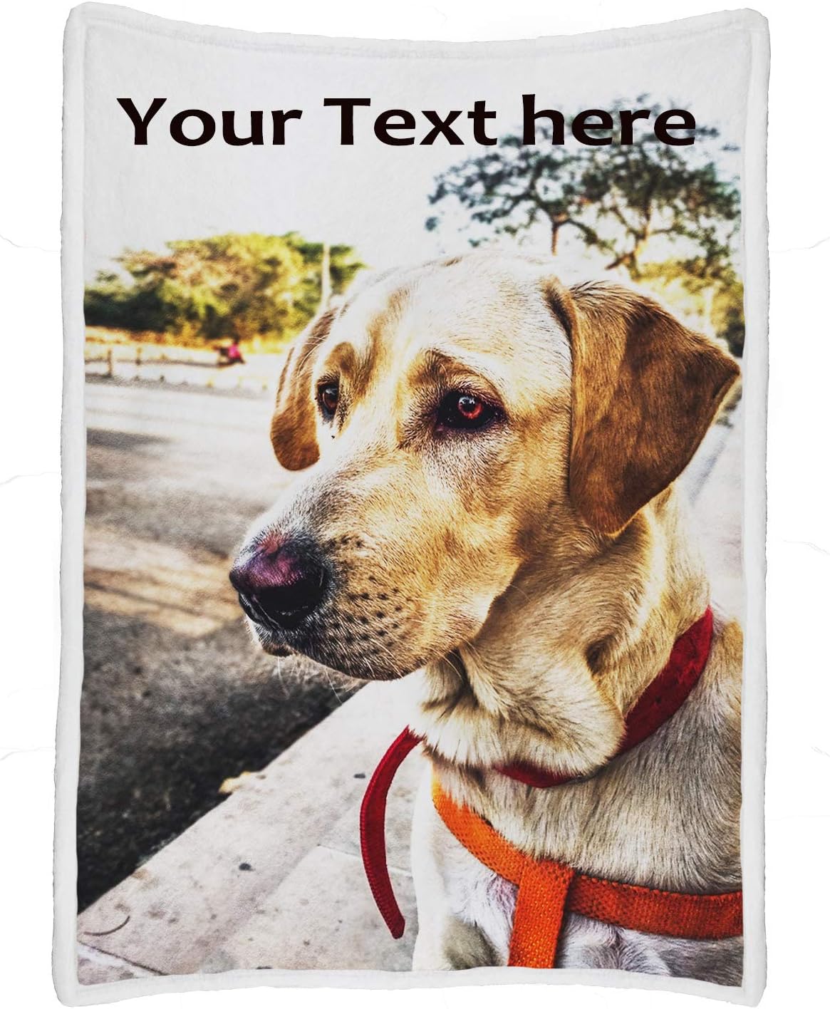 Custom Blanket with Picture/Photo Personalized Printing Soft Flannel Blanket Souvenirs and Gifts for Pets Family Friend Birthday Gifts and Wedding Gifts (1 Photo, 40"x60")