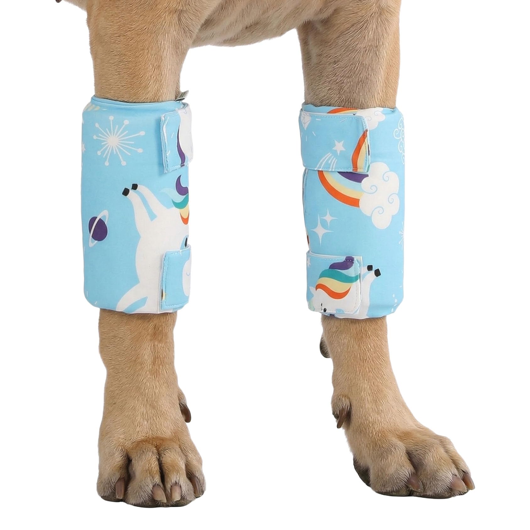 Manchons anti-léchage LovinPet pour protéger votre grand chien au quotidien