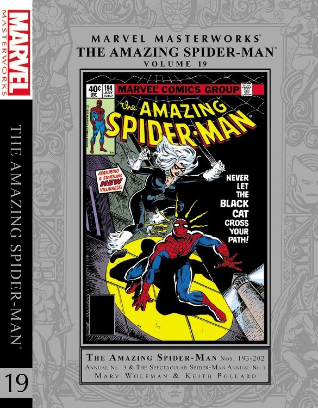 Marvel Masterworks the Amazing Spider-Man 19 (19) Hardcover – June 27, 2017