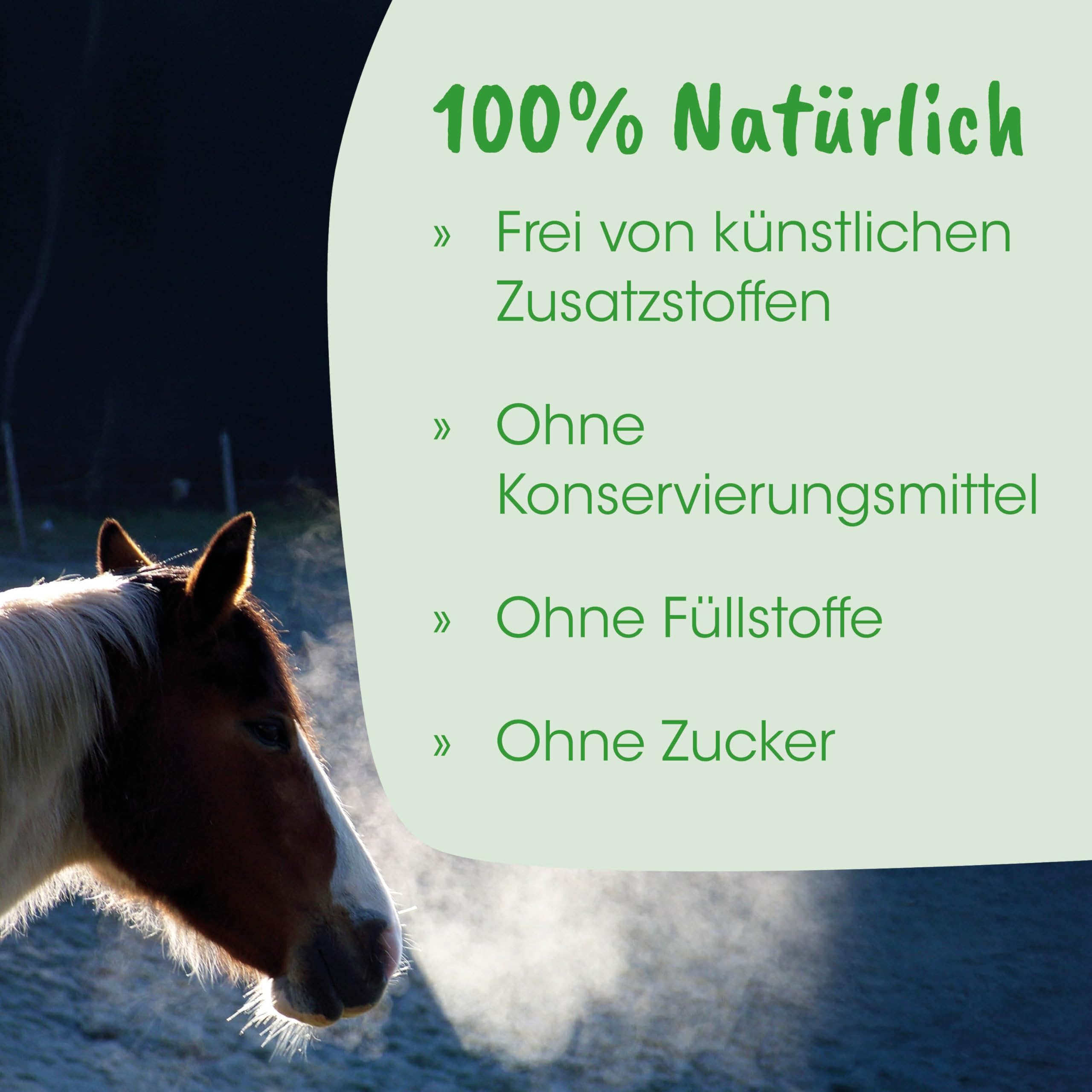 HustaVet Immun für Hunde Katzen Pferde – Natürliche Unterstützung für Atemwege & Immunsystem, 1,6kg