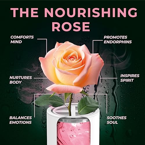 Miniatura 4 de AquaHomeGroup Cartucho de repuesto para filtro de ducha con vitamina C + E + A con gránulos aromáticos (rosa). Elimina el cloro, apoya la salud de