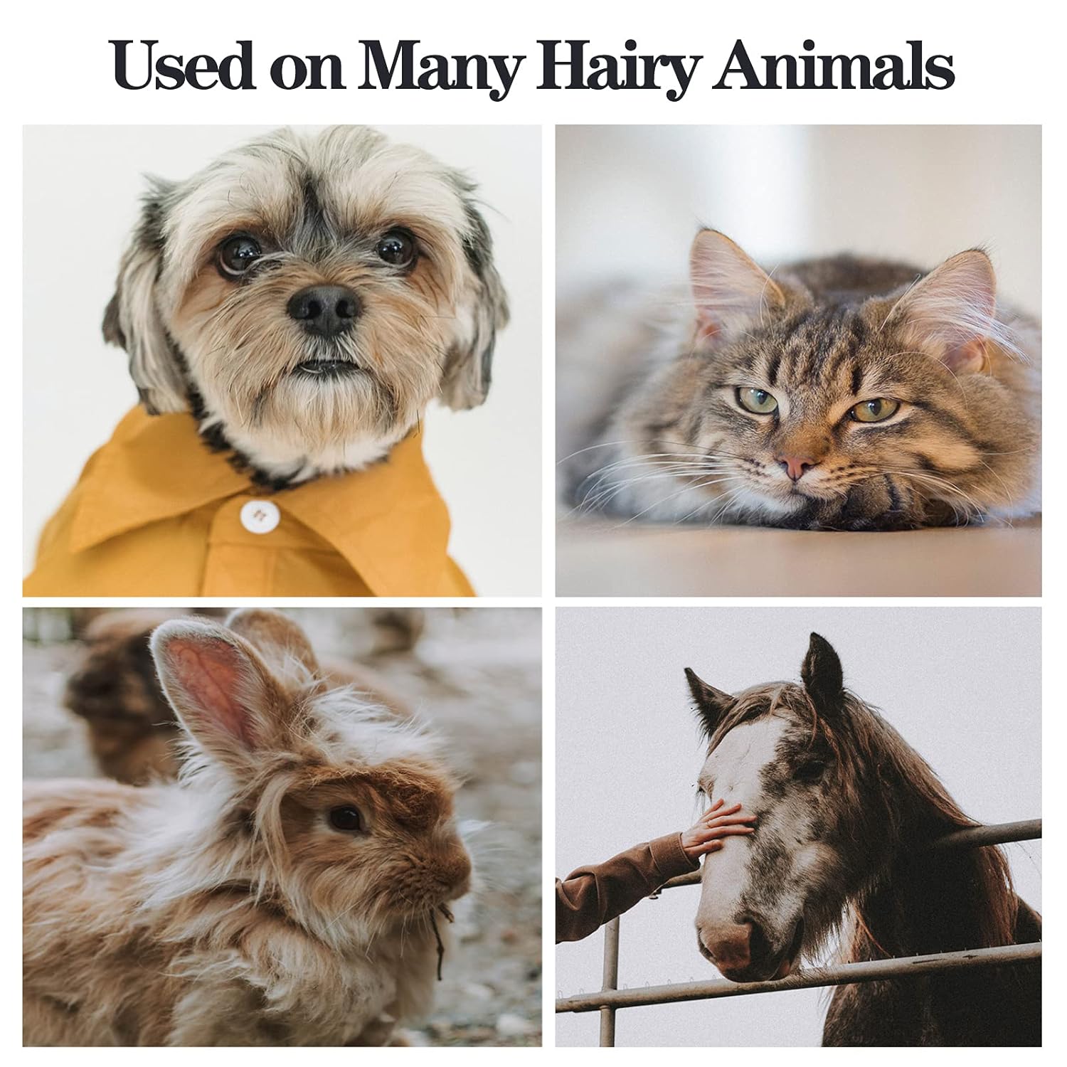 INFIAURO Dog Combs for Grooming with Rounded Ends Teeth, Solid Stainless Steel Cat Combs for Taking Tangles/ Mats Out with Ease, Never Hurt Your Pets, Black. : Pet Supplies