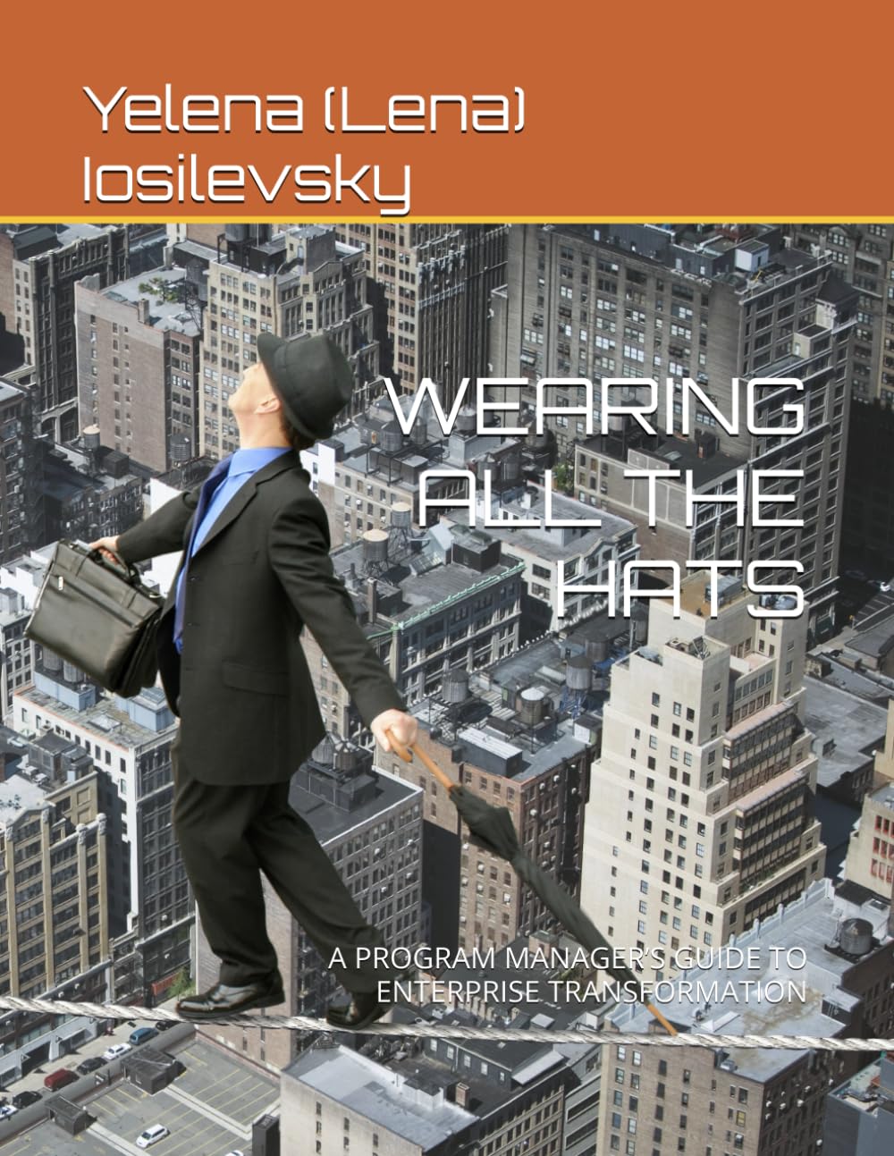 WEARING ALL THE HATS: A PROGRAM MANAGER’S GUIDE TO ENTERPRISE TRANSFORMATION (The Reality-Based Transformation)