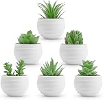 Der Rose 9Pcs Artificial Plants Small Fake Succulent Plants in Pots for Bathroom Office Desk Shelf Decor