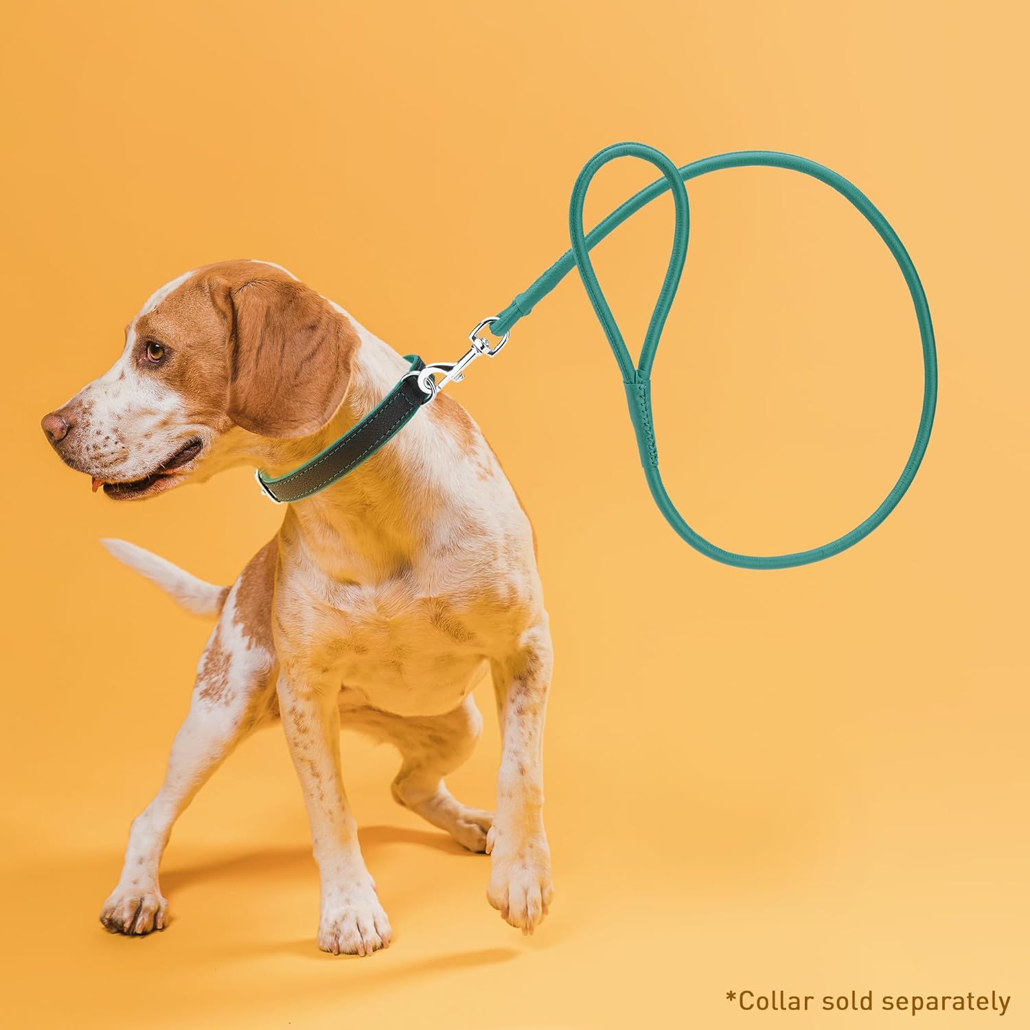 Dogline Soft and Padded Rolled Round Leather Leash for Dogs W3/8" - L48, Teal