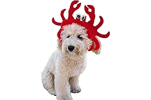 ComfyCamper: Crab Dog Costume Just for Your Furry Friend