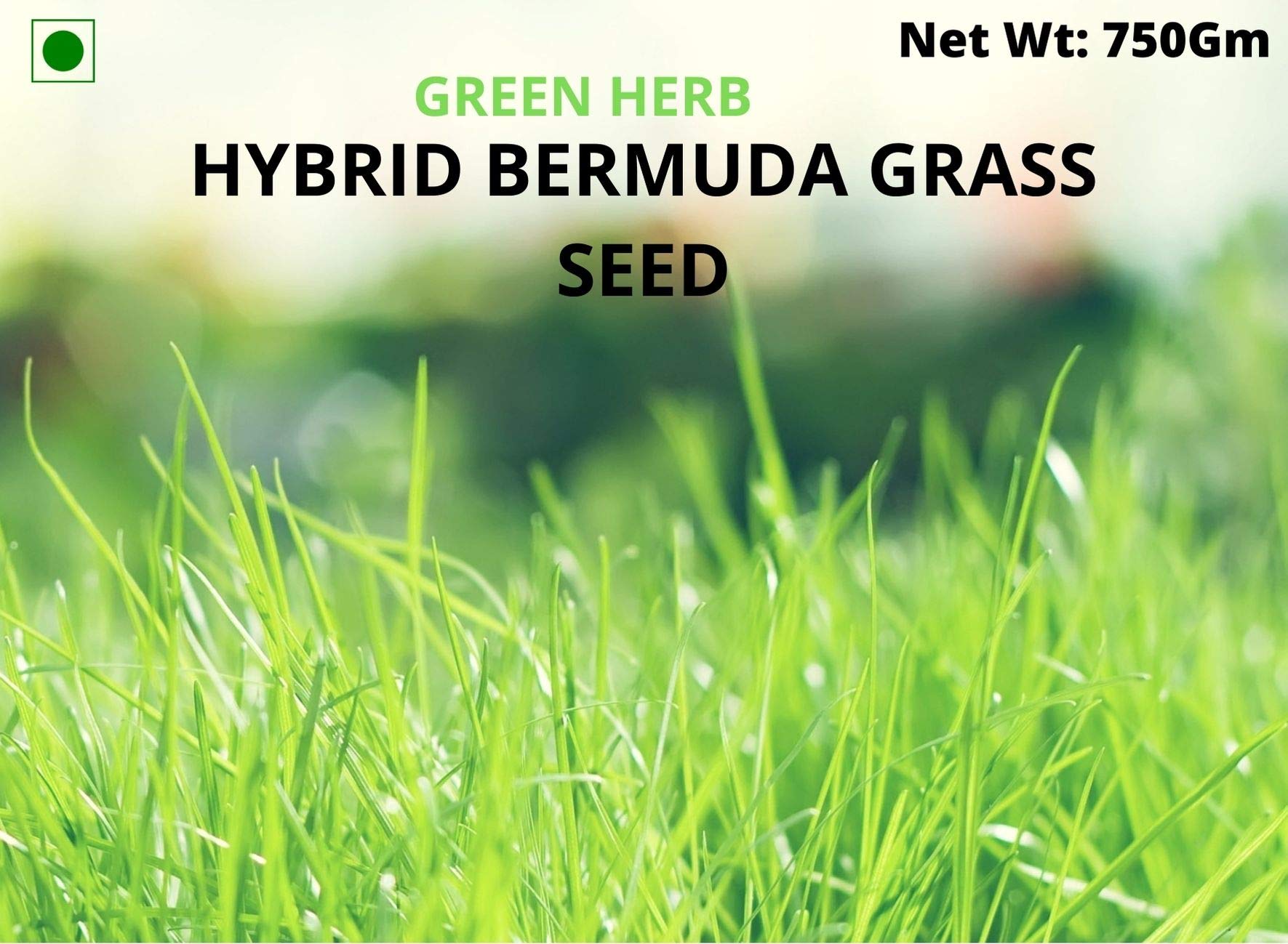 Green Herb Bermuda Grass Seed -750 gm 1
