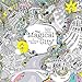 The Magical City: A Colouring Book (Magical Colouring Books)