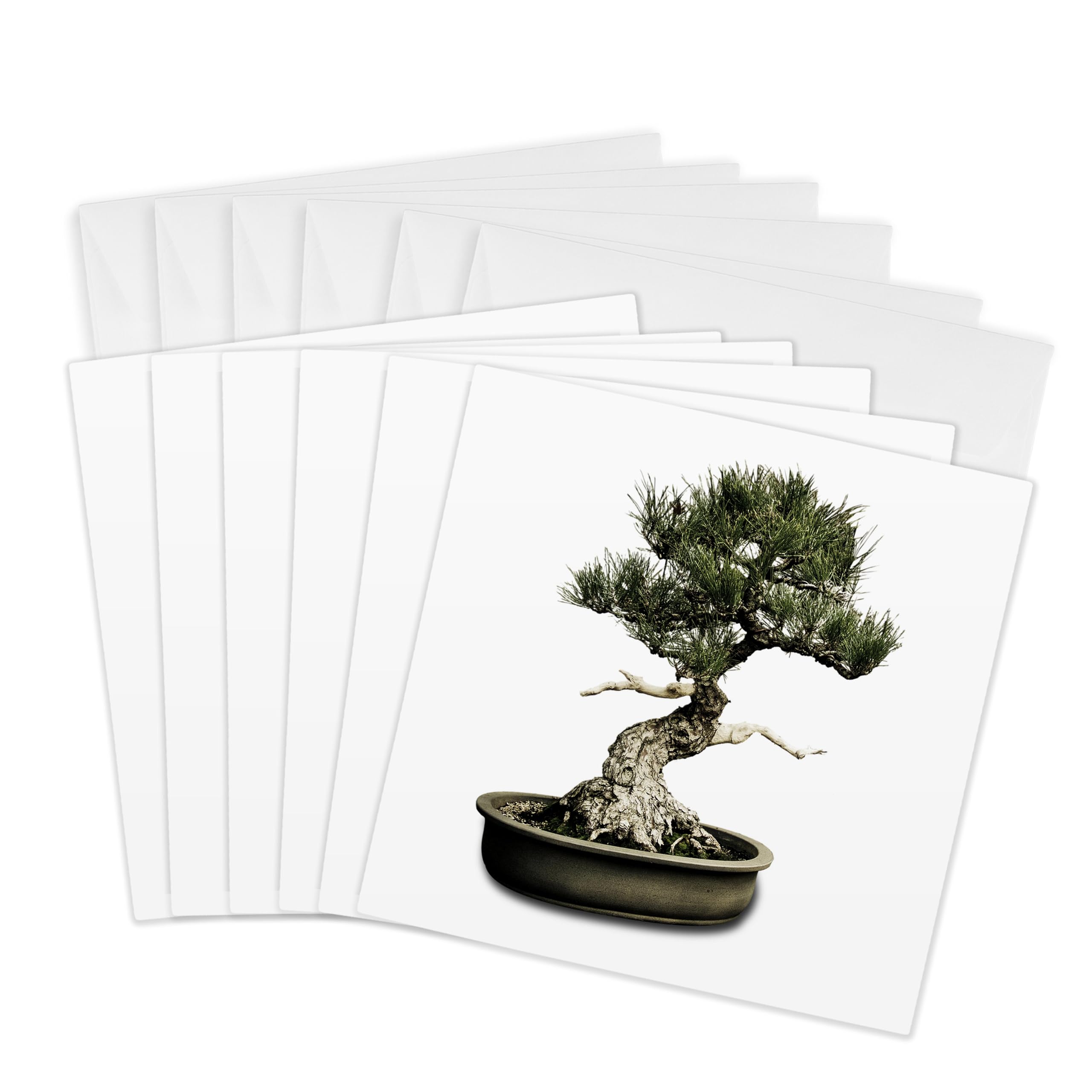3dRose gc_12649_1 6 x 6-Inch"Bonsai" Greeting Card (Pack of 6)