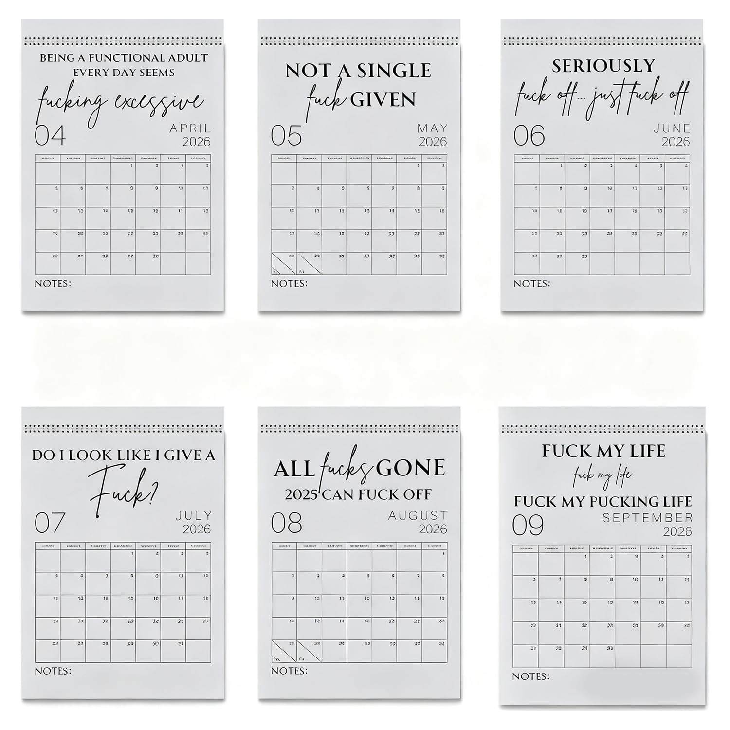 The 2026 "F*ck It" Calendar,Funny Novelty Monthly Planner Calendar, Wall Calendars with Bold Quotes,for Women & Men, Ideal for Office, or Home Décor (6PCS)