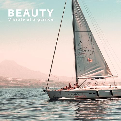 Miniatura 7 de OBAKL Fundas para guardabarros de barco de 12.6 x 25.6 pulgadas, tamaño plano para guardabarros de barco de 8.5 x 27 pulgadas, paquete de 4