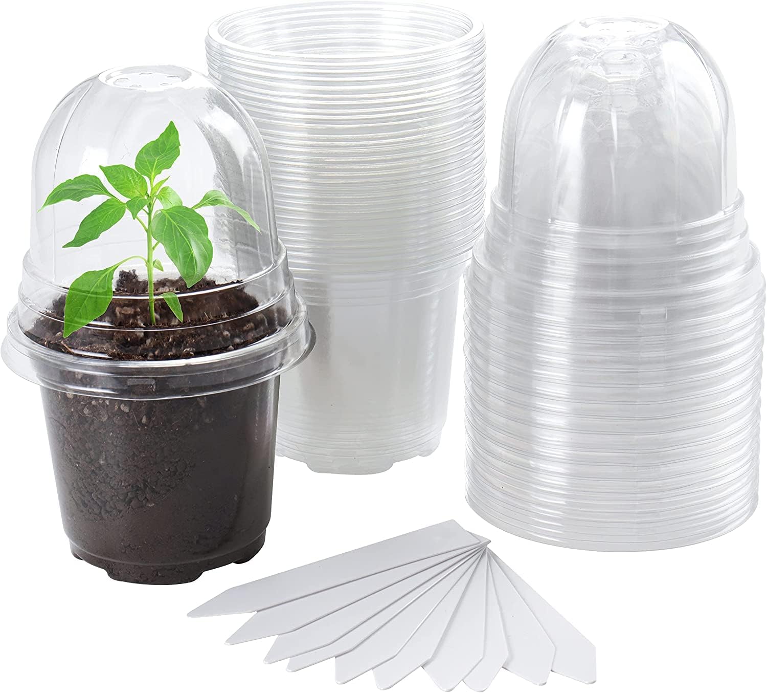 LATERN 30Pcs Clear Nursery Pots with Humidity Dome, 10CM Plastic Plant Pot Seedling Start Pots Flower Pot with Drain Holes for Flower Plant Seedlings Transplanting - With 10Pcs Plant Labels