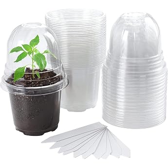 LATERN Pack of 30 Clear Propagation Pots with Moisture Dome 10 cm Plastic Flower Pot Seedling Start Pots with Drainage Holes for Transplanting Flower Plant Seedlings - with 10 Plant Labels