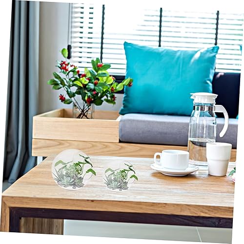 Miniatura 8 de 3 botellas de vidrio para plantas de aire, terrario, musgo, jarrón oblicuo, para exhibiciones decorativas y arreglos de suculentas