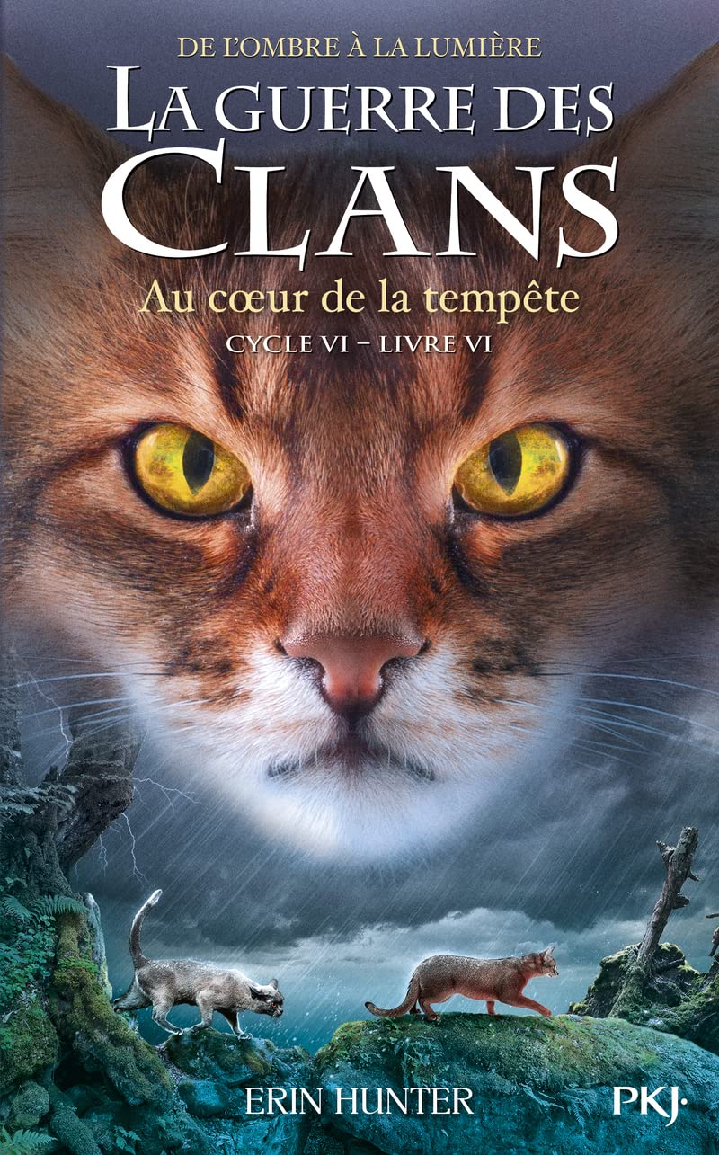 La Guerre des clans, Cycle VI - Tome 6 : Au cœur de la tourmente (36)