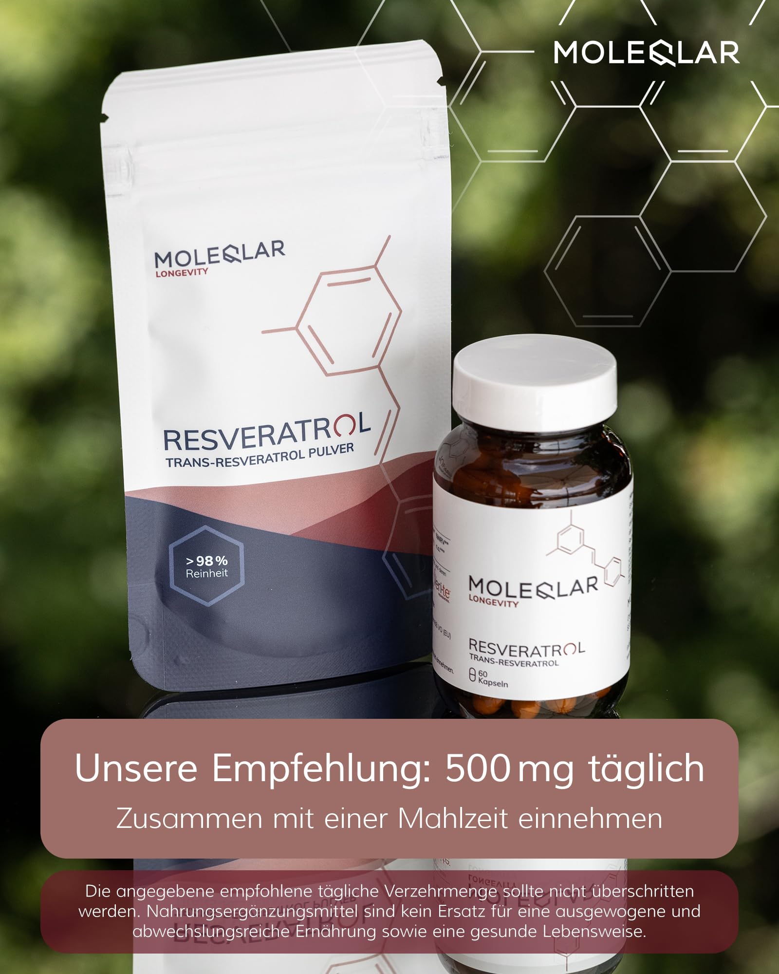 MoleQlar Resveratrolo in polvere – Integratore alimentare di fermentazione innovativa del lievito – Resveratrolo 500 mg per porzione – oltre il 98% di purezza (100 g)