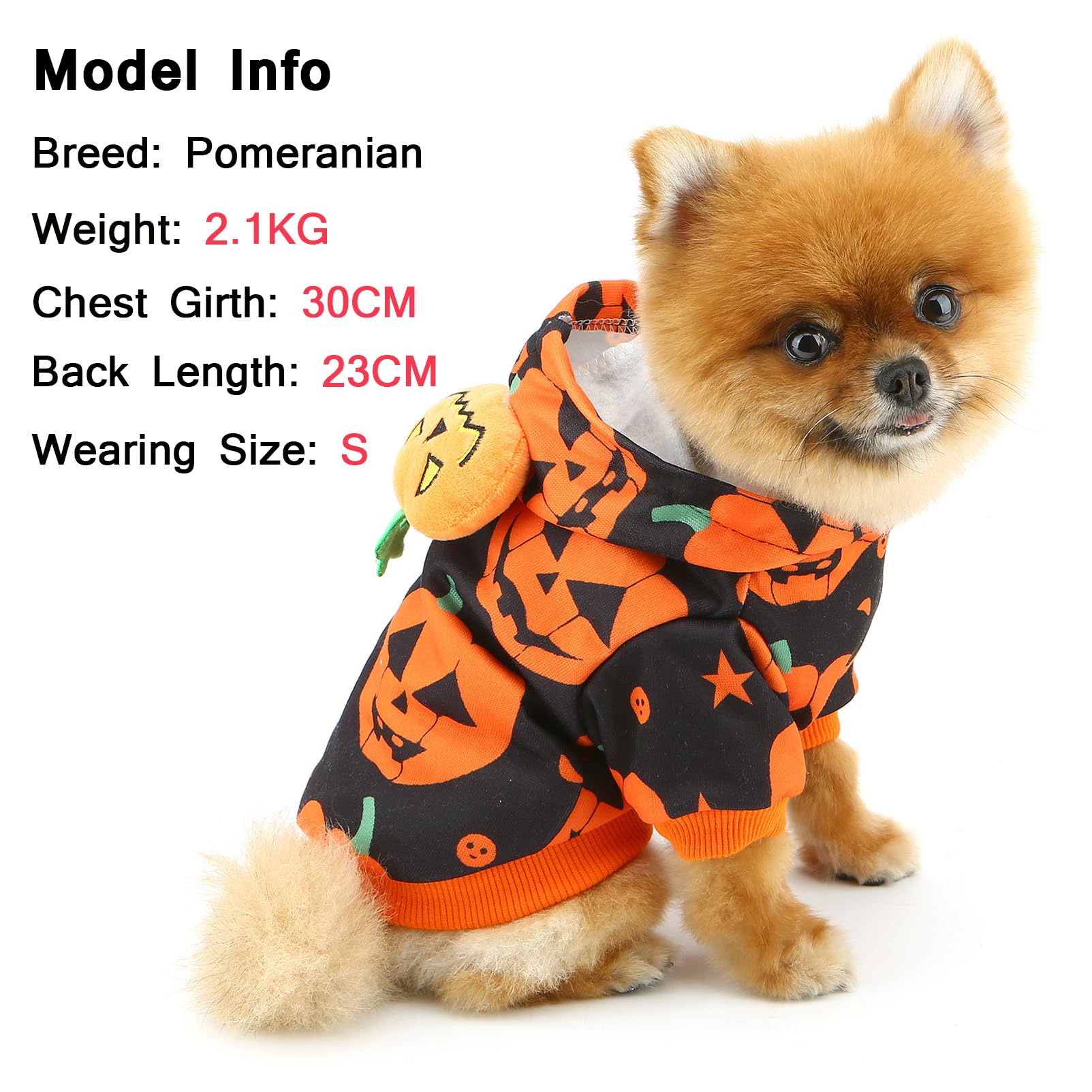 SMALLLEE_LUCKY_STORE Fleece Lined Dog Halloween Costumes Puppy Hoodies Pumpkin Pet Sweater for Small Dog with Pumpkin Decoration Warm Fall Winter Holidays Cosplay Party Cat Pullover - Image 2