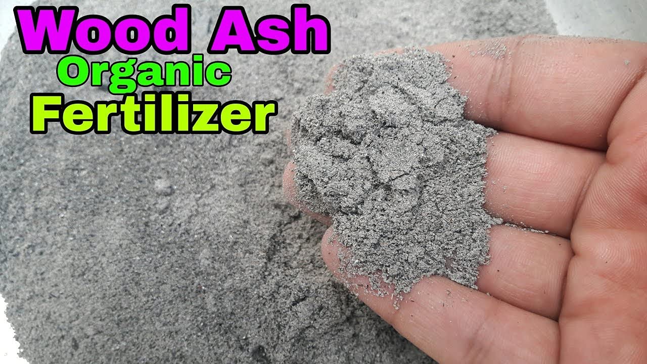Vedhahi Wood Ash Fertilizer for Plants 2 Kg (B094X843G3) Amazon Price History, Amazon Price Tracker