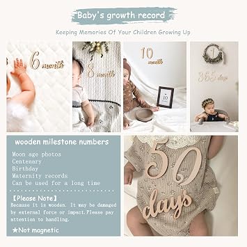 19pcs Baby Milestone Numbers Wooden Milestones Newborn Photography Prop Wooden Milestone Monthly Card