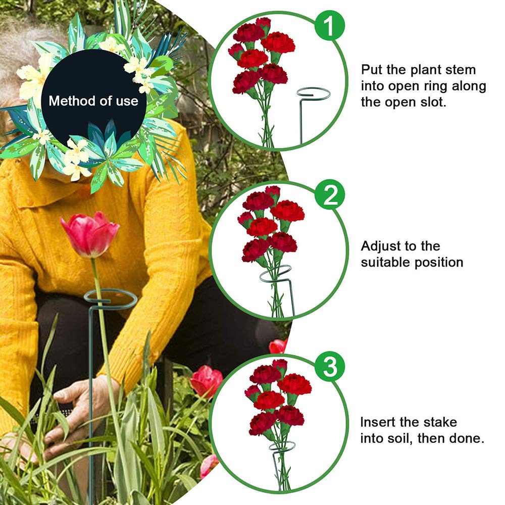 Pali di supporto per piante da 10 pezzi con clip Amaryllis Supporto per gabbia per piante da giardino Stelo singolo Palo di supporto per fiori per