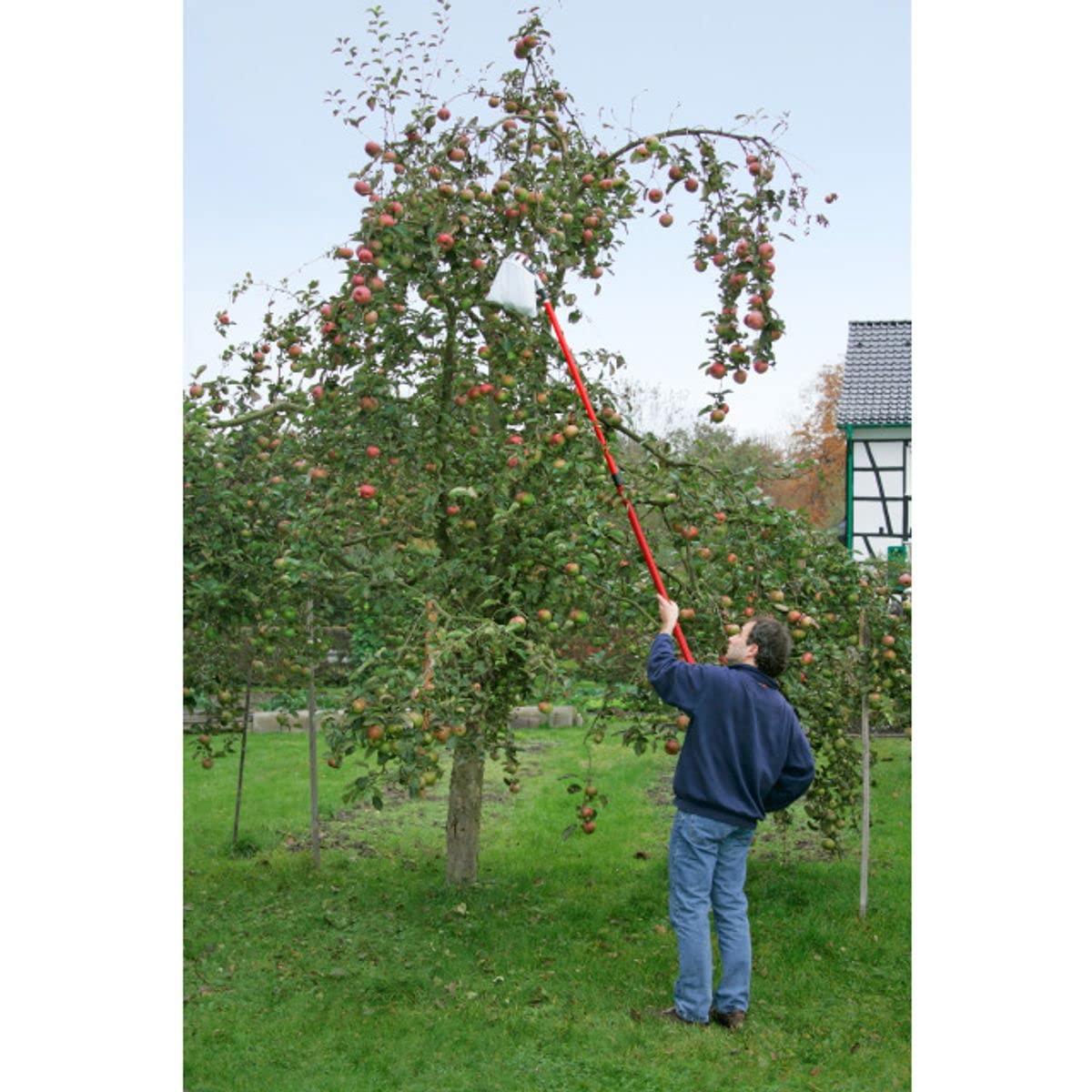 Obstpflücker mit Teleskopstiel