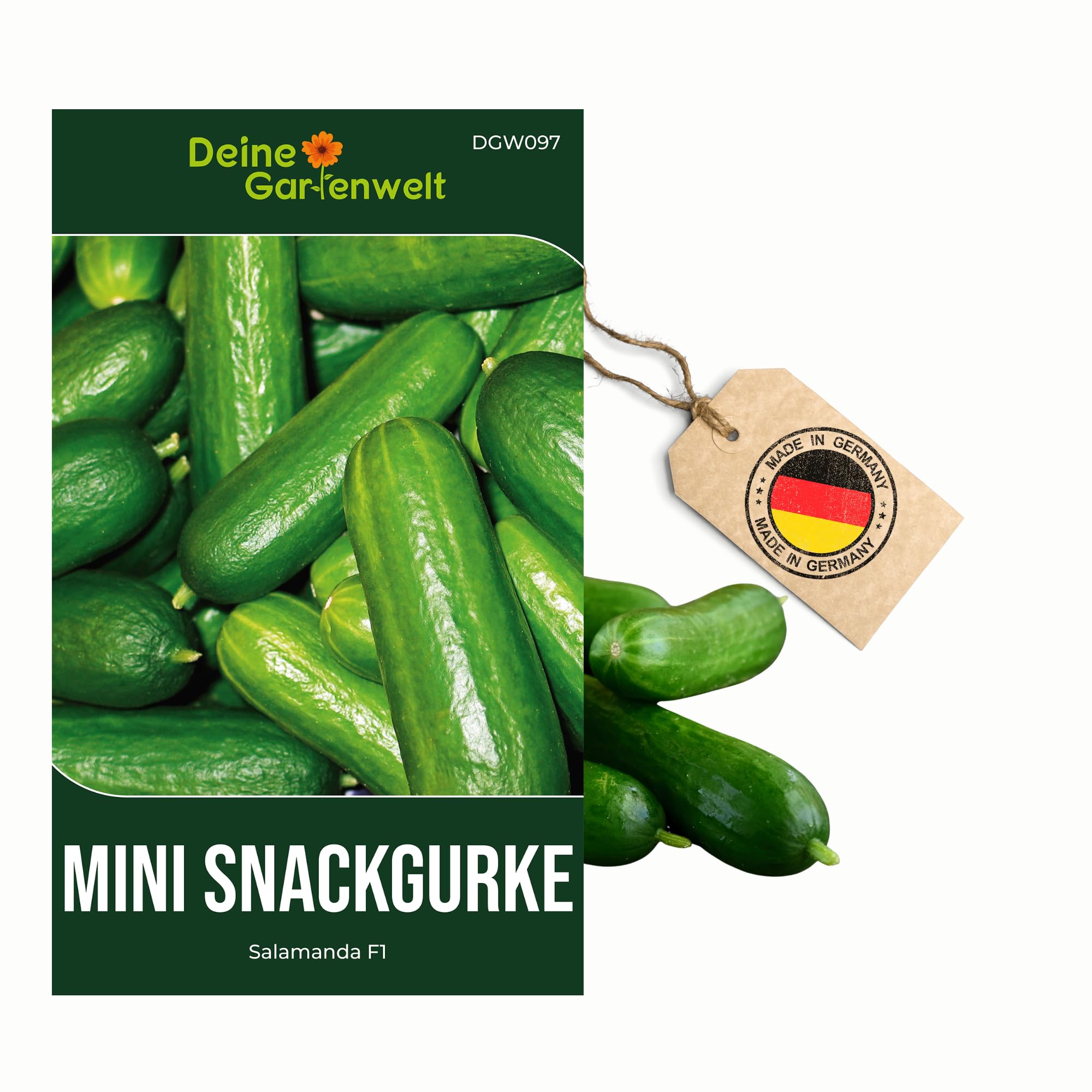 Mini Snackgurke Salamanda F1 Samen - Cucumis sativus - Gurkensamen - Gemüsesamen - Saatgut für 6-8 Pflanzen