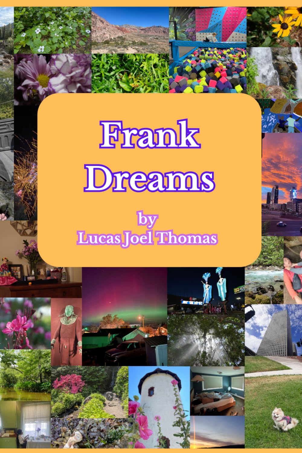 Frank Dreams