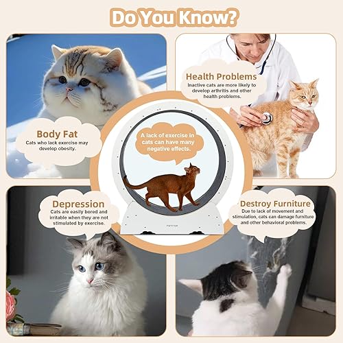 Miniatura 4 de Rueda de ejercicio para gatos de interior, rueda de correr PETPNR para gatos, rueda grande de 39 pulgadas de alto, fácil de montar, con mecanismo de