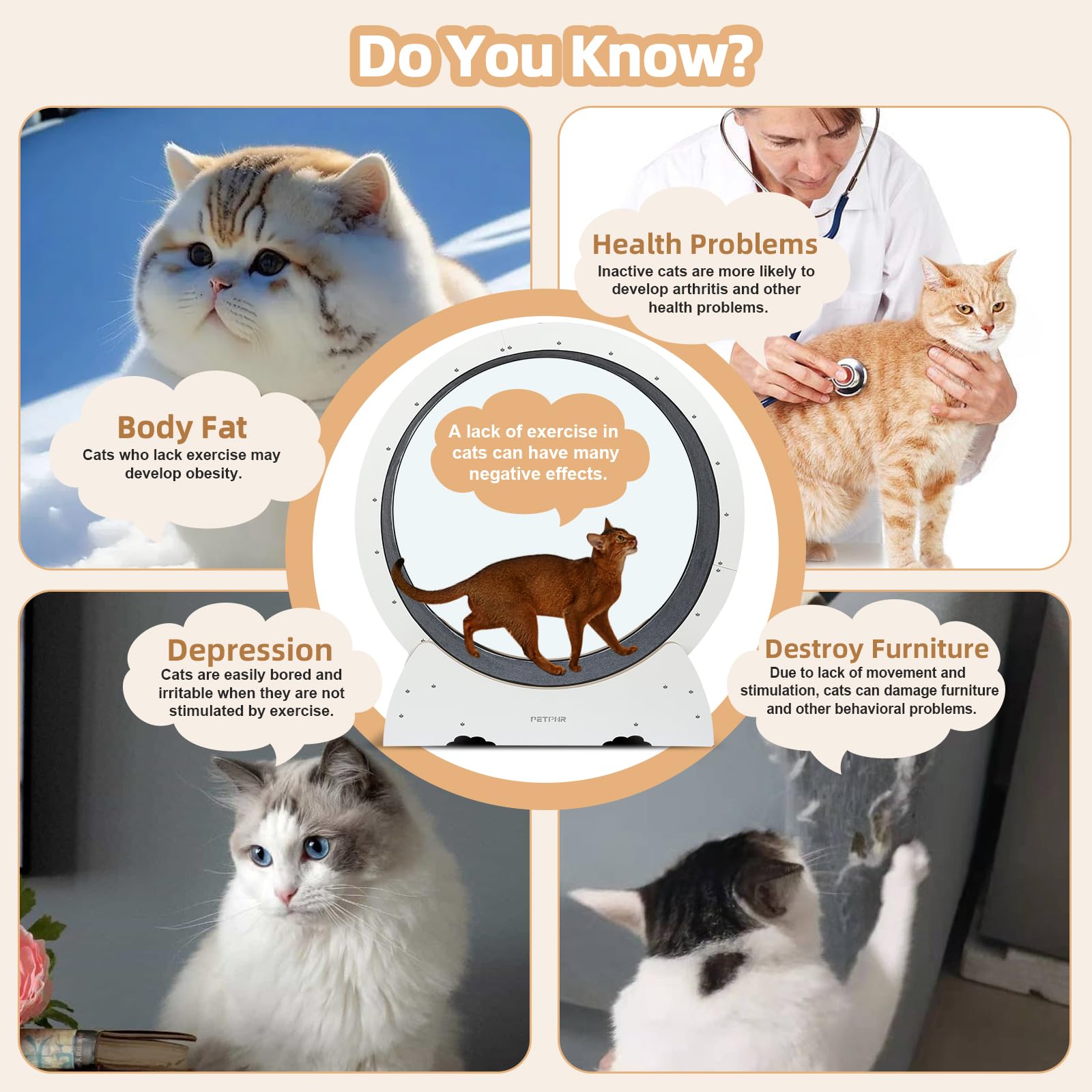 Amazon | キャットホイール PETPNR 猫 回し車 室内飼い猫の運動不足 