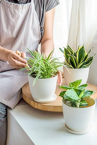 Miniatura 7 de Mkono - Juego de 5 maceteros de plástico con bandejas, para interiores, de 6.5 pulgadas, macetas decorativas modernas con orificio de drenaje para