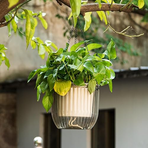 Miniatura 7 de QCQHDU Paquete de 2 macetas colgantes para plantas de interior, colgador de plantas de 8 pulgadas con orificio de drenaje y cadena, maceta colgante