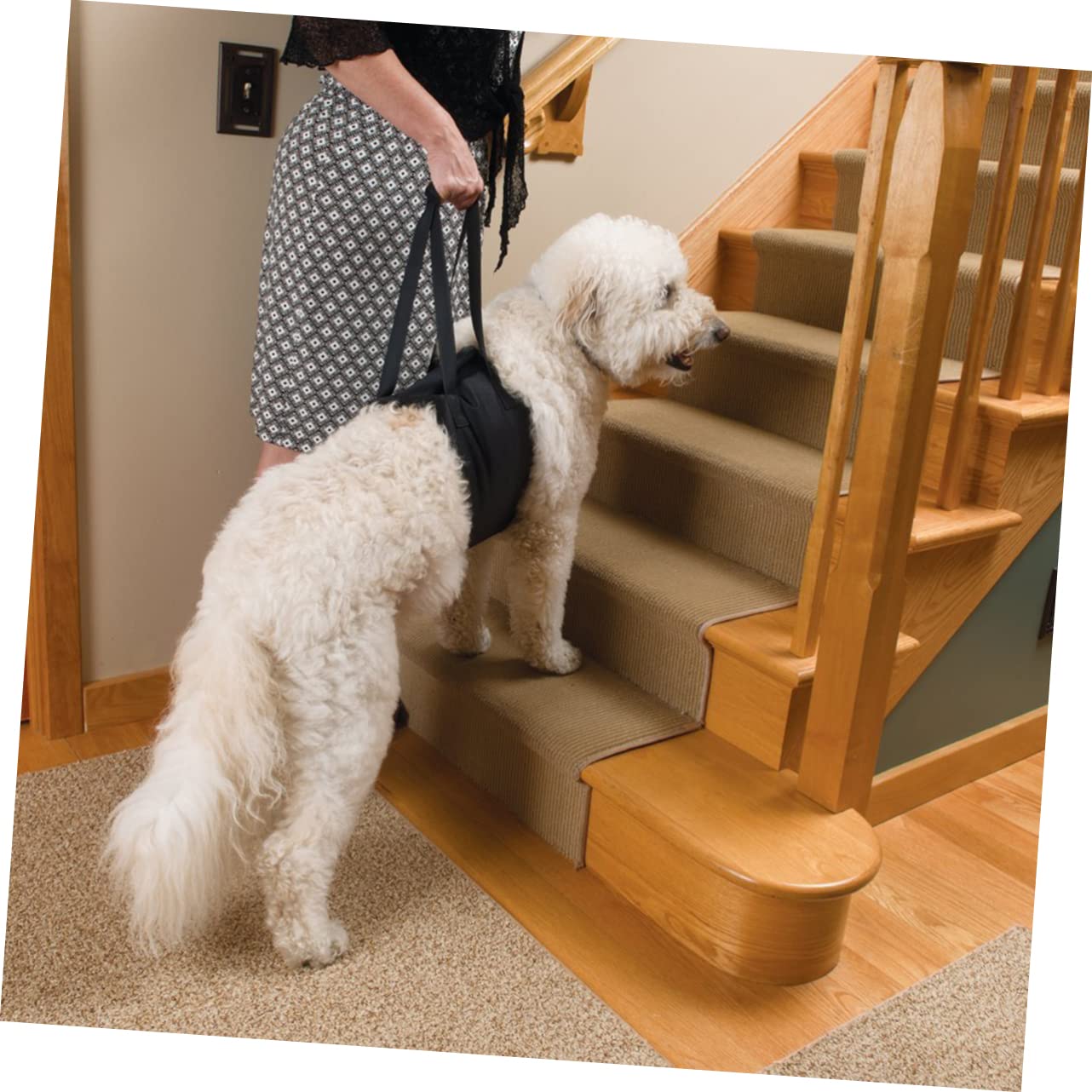 Angoily Juego De 2 Cinturones De Tracción para Perros Soporte para De Patas Traseras Talla L