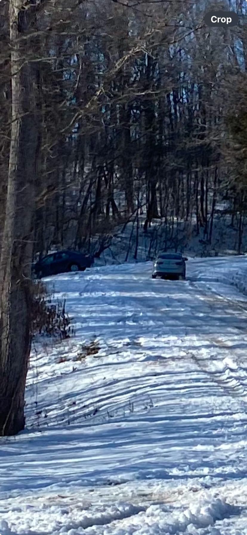 Customer review image