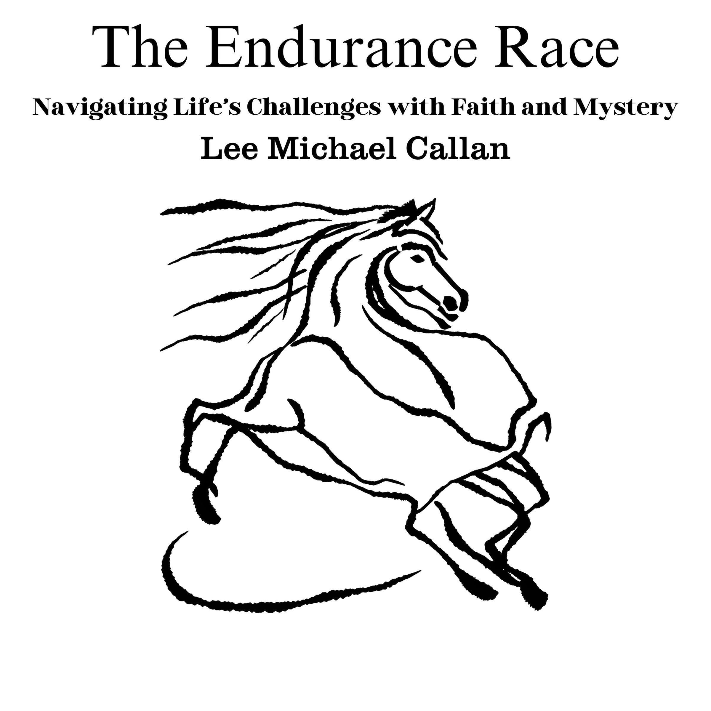 The Endurance Race